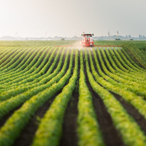 Tractor spraying pesticides at  soy bean field